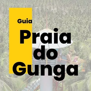 Imagem de capa para o Ebook Gunga 