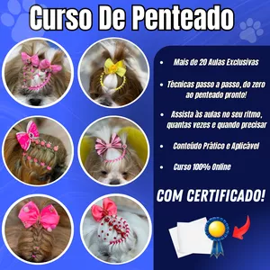 Imagem de capa para o Curso online Penteados Pets Para Iniciantes 