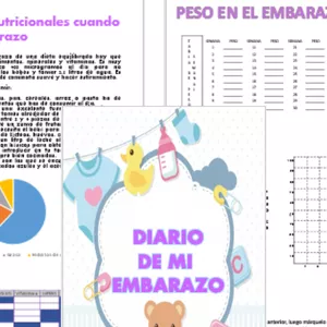 Imagen de portada para Curso online Diario de mi embarazo, para imprimir