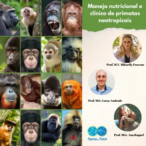 Imagem de capa para o Curso online Manejo nutricional e clínico de primatas neotropicais!