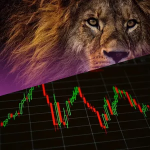 Imagem do curso IRPF para DAY TRADERS - Calcule você mesmo