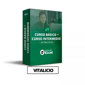 Imagen de portada para Curso online Curso de Excel Básico con Intermedio - Vitalício