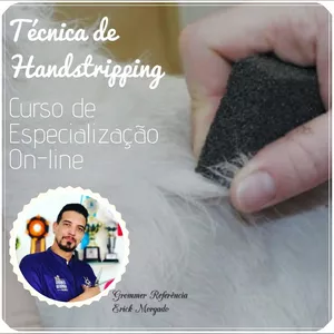 Workshop - Técnica de Hand Stripping