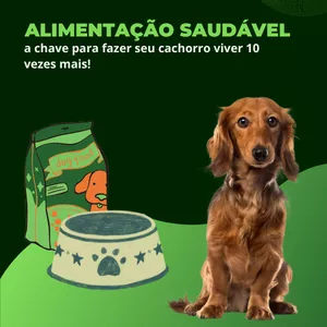 Imagem de capa para o Ebook  Alimentação saudável - a chave para fazer seu cachorro viver 10 vezes mais!