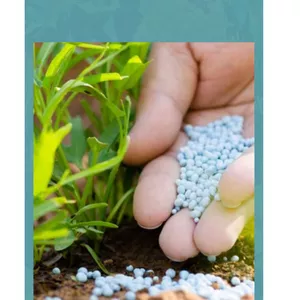 Imagem de capa para o Ebook Nutrição de plantas fundamentos e aplicações 