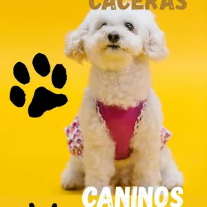 Imagen de portada para Ebook 111 Recetas caninas