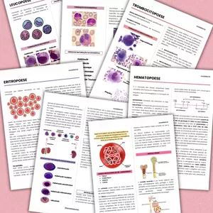 Imagem de capa para o Ebook Resumo de Hematologia Básica