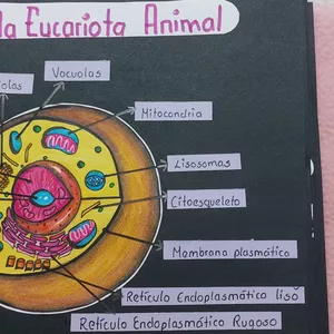 Imagen de portada para Curso online La celula animal