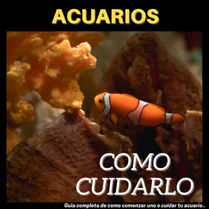 Imagem principal do produto Guia completa de como cuidar tu acuario