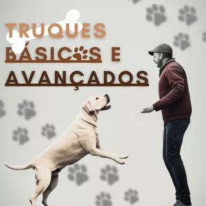 Imagem de capa para o Ebook Truques Básicos e Avançados para seu Cão.