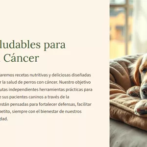 Imagen de portada para Ebook Recetas saludables para perros con cáncer 