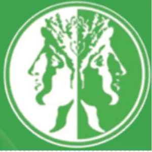 Imagem de capa para o Ebook Resumo do Código de ética do estudante de medicina