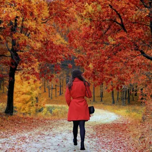 Imagem de Finalmente! O segredo de tornar suas fotos profissionais em apenas um clique foi revelado!! criado por Marize na hotmart