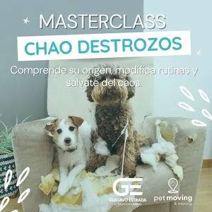 Imagen de portada para Curso online Chao Destrozos