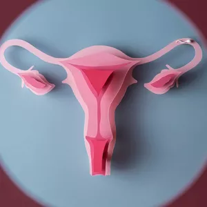 Imagem de capa para o Curso online 50 Reels Narrados, Animados e Editáveis para Ginecologistas - Obstetras 