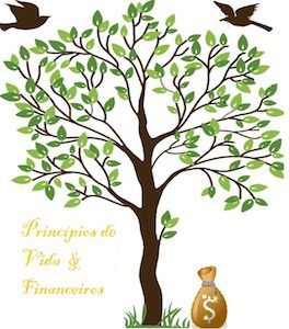 Curso Princípios de Vida e Financeiros