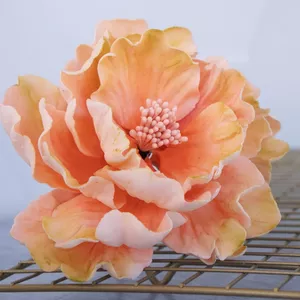 Imagen de portada para Curso online Peonias de pasta de azúcar