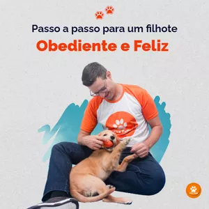 Imagem do curso Passo a Passo para um Filhote Obediente e Feliz