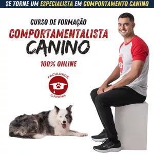 Imagem de capa para o Curso online CURSO DE FORMAÇÃO: COMPORTAMENTALISTA CANINO