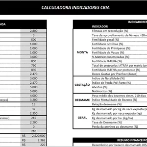 Imagem de capa para o Curso online Calculadora INDICADORES CRIA (Excel) - Bovinos de corte