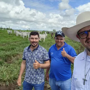 Imagem de capa para o Serviço online Mentoria Nutrição Ativa