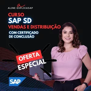 Imagem de capa para o Curso online Guia SAP SD - Vendas e Distribuição