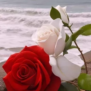 Imagen de portada para Curso online CUADRO DE FLORES 