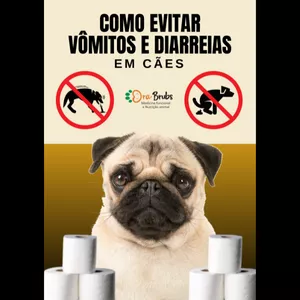 Imagem de capa para o Ebook Como evitar vômitos e diarreias em cães