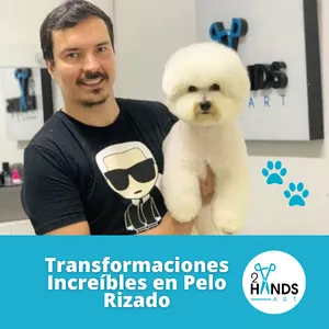Imagen de portada para Curso online Transformaciones increíbles en pelo rizado 