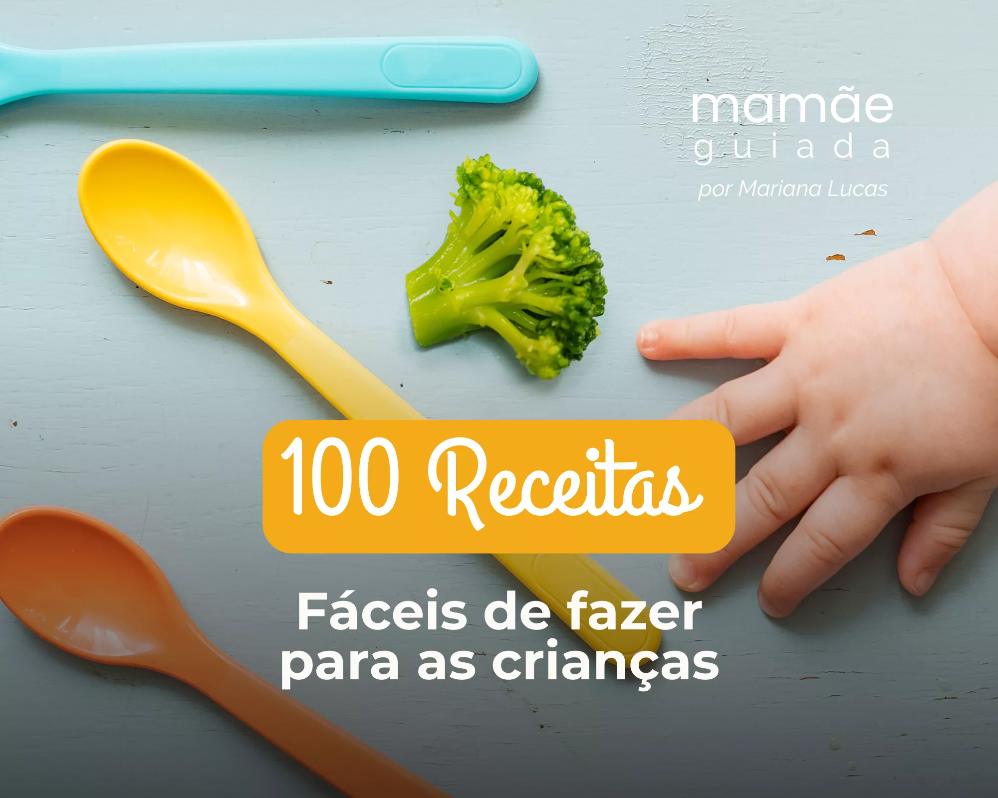100 Receitas para bebês