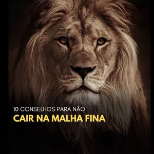 Imagem de capa para o Ebook 10 Conselhos para não cair na malha fina