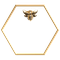 Empress Codes