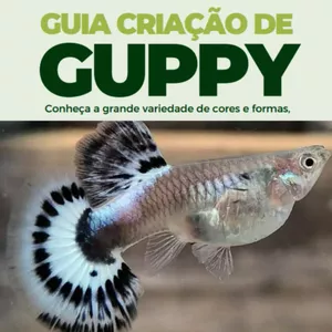 Imagem de capa para o Ebook Guia Criação de Guppy