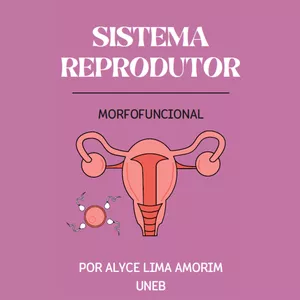 Imagem de capa para o Ebook Medtranquil@ apresenta: Os resumos de Alyce!