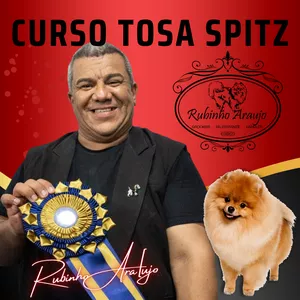 Imagem de Curso de Especialização em Tosa Spitz - Rubinho Araújo criado por Rubinho Araujo  na hotmart