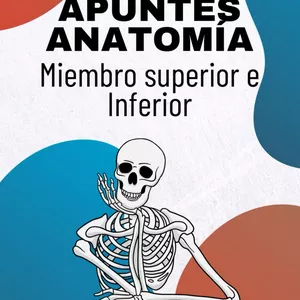 Imagen de portada para Curso online APUNTES ANATOMÍA COMBO