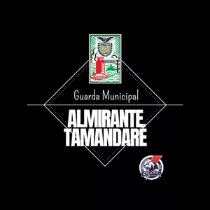 Imagem de capa para o Curso online CURSO GM ALMIRANTE TAMANDARÉ - VÍDEO-AULA