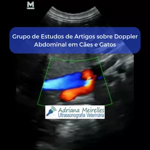 Imagem de capa para o Curso online Gravação do I Grupo de Estudos de artigos Doppler abdominal em cães e gatos