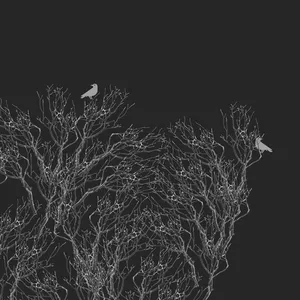 Imagen de portada para Curso online Fondos de pantalla para tu computador