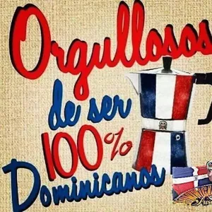 Imagen de portada para Ebook 100 palabras dominicanas 