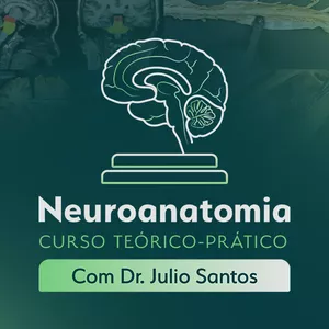 Imagem de capa para o Curso online Neuroanatomia - Curso Teórico-Prático