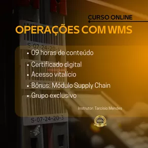 Imagem de capa para o Curso online Operações com WMS