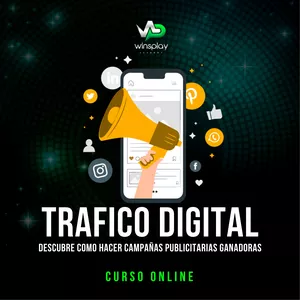 Imagen de portada para Curso online Tráfico Digital