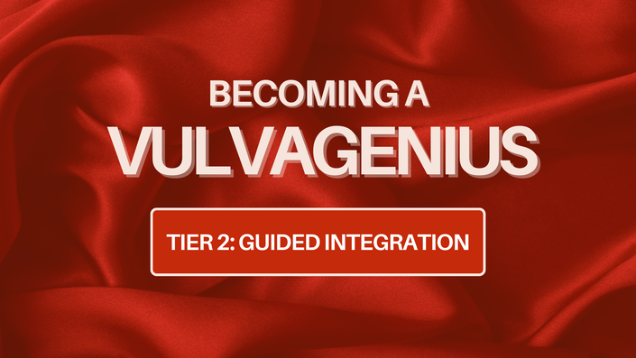 Becoming a Vulvagenius - Guided Integration