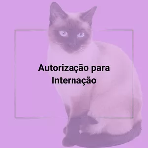 Imagem de capa para o Ebook Contratos Veterinários - Autorização para Internação