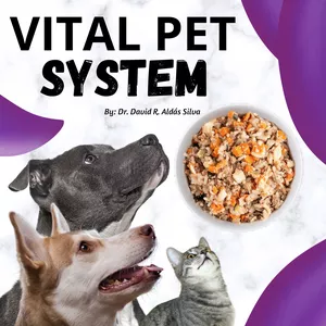 Imagen de portada para Curso online VITAL PET SYSTEM (DIETA NATURAL COCIDA PARA PERROS Y GATOS)
