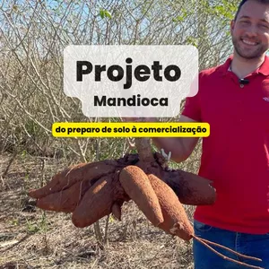 Imagem de capa para o Curso online Projeto Mandioca