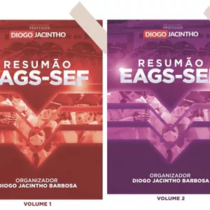 Imagem de capa para o Ebook Livro Resumão EAGS Sef - 2° edição (edital 2022)