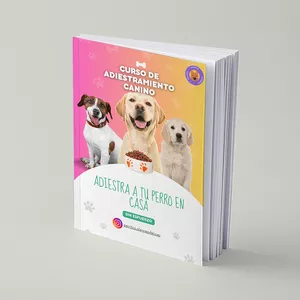 Imagen de portada para Ebook Curso de Adiestramiento Canino 