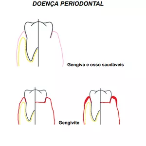 Manual de apresentação para dentista 